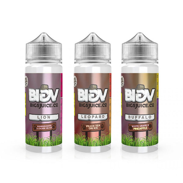 Big 5 Fruity 100ml Shortfill 0mg (70VG/30PG)